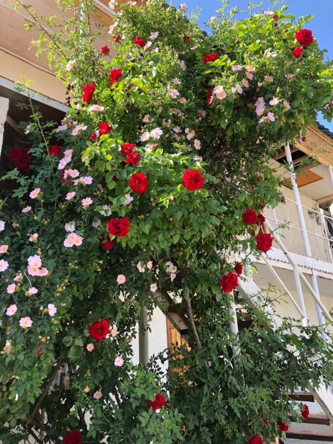 Гостевой Дом Айша Guest House Aisha Çolpan Ata Dış mekan fotoğraf